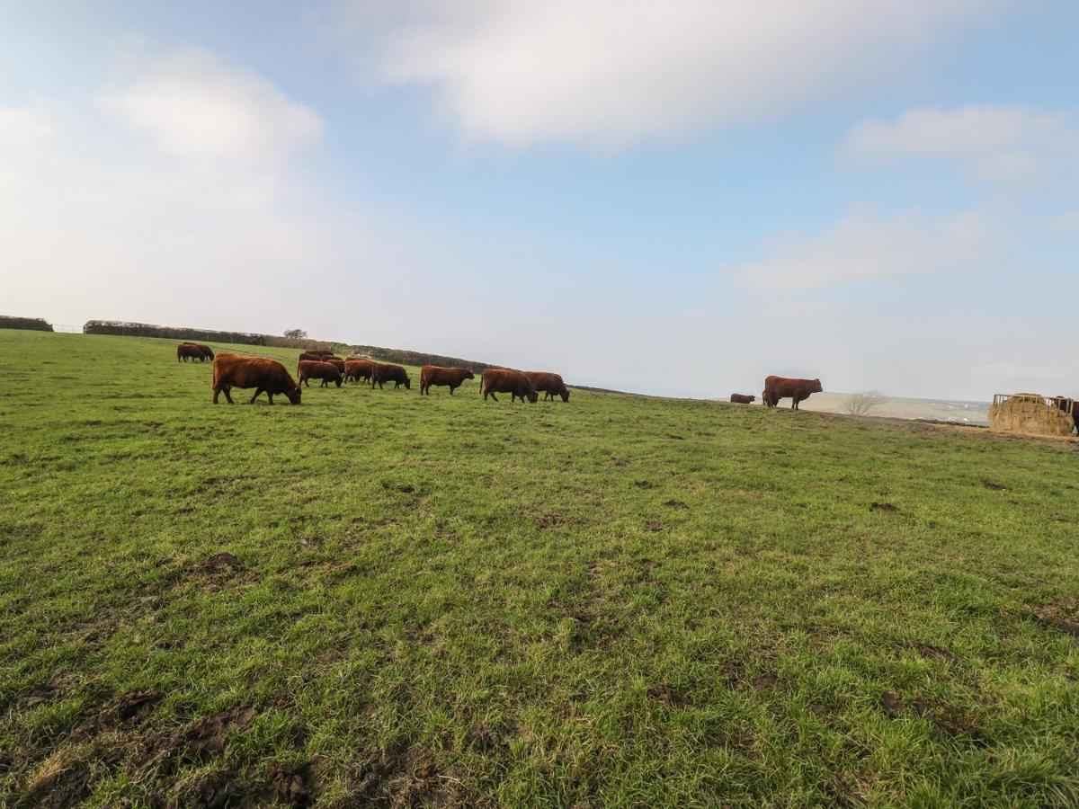 Home Farm Cottage บอสคาสเซิล ภายนอก รูปภาพ